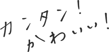 カンタン！かわいい！